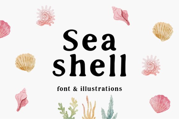 Sea Shell: A Designer's Honest Review for Real Projects